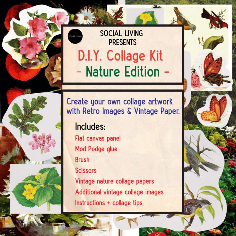 Nature Collage Kit DIY Social Living
